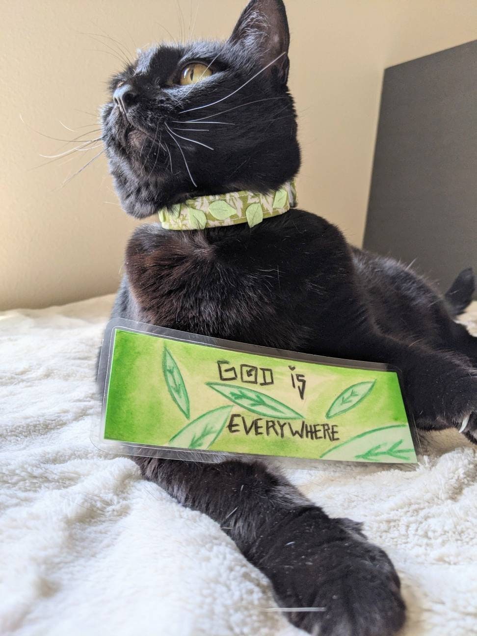 Handmade Gift Set for Cat Lady