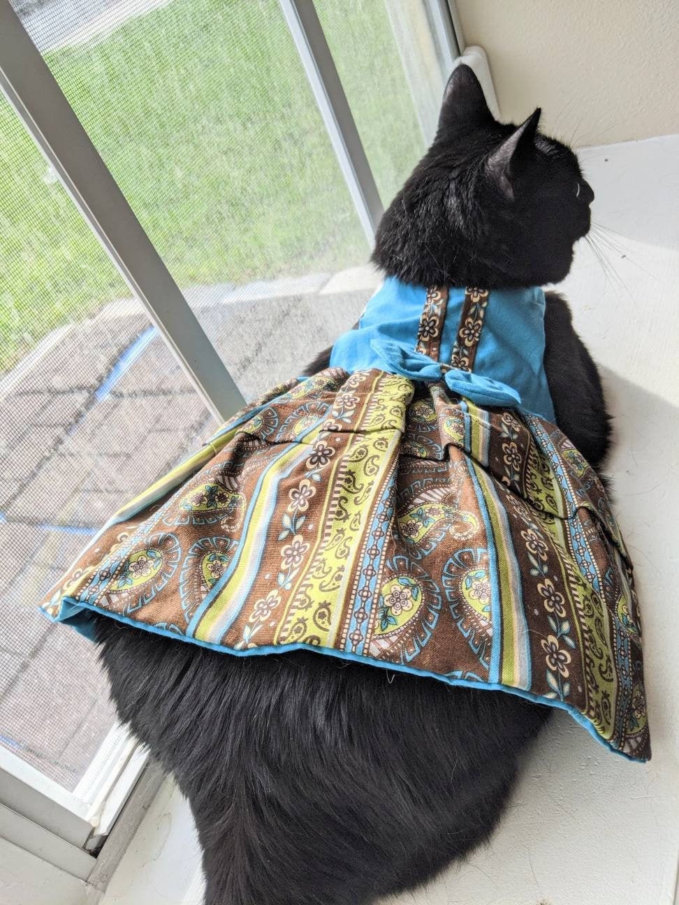cat wearing blue and green cat dress for cat with long skirt