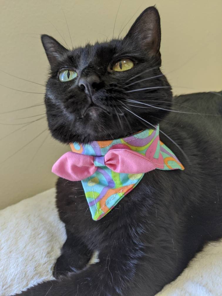 Cute Bow Adjustable Cat Collar