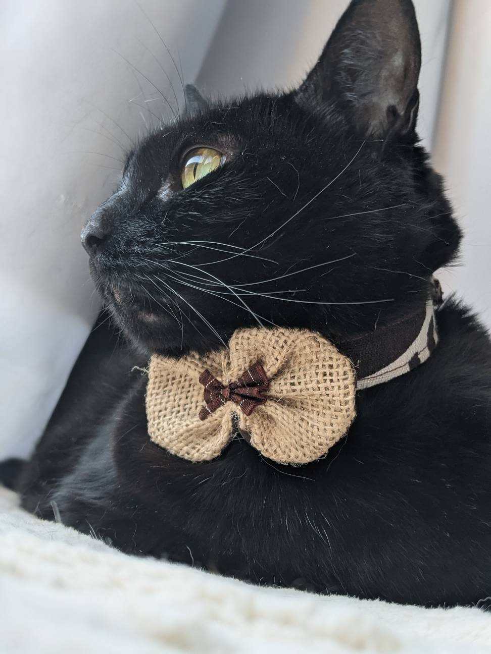 Lightweight Cat Accessory Bowtie Collar