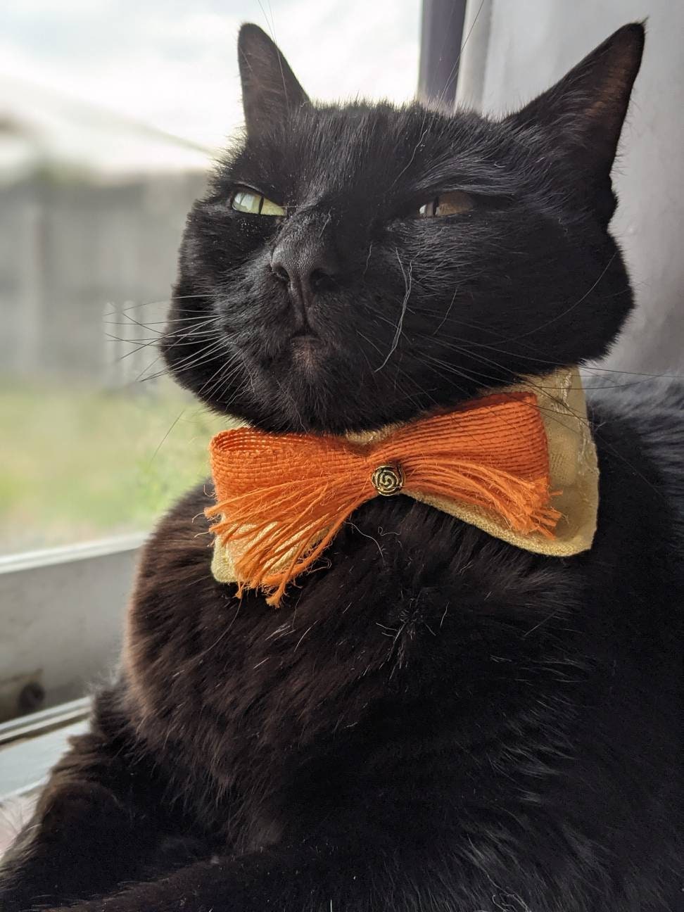 Lightweight Cat Accessory Bowtie Collar