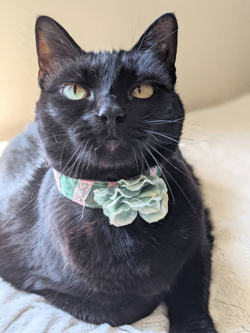 Unique Flower Adjustable Cat Collar