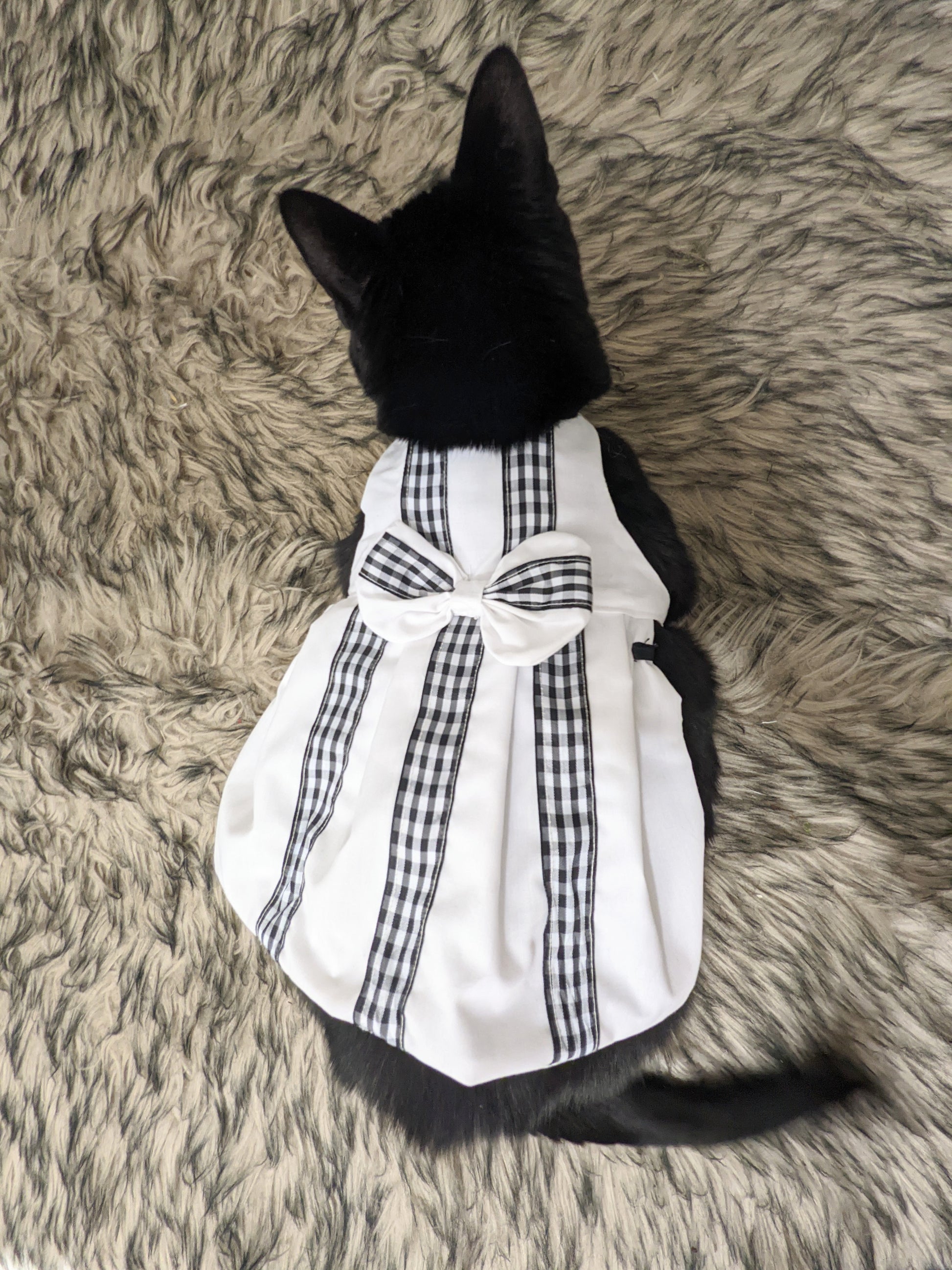 Fancy cat dress for cat black and white model