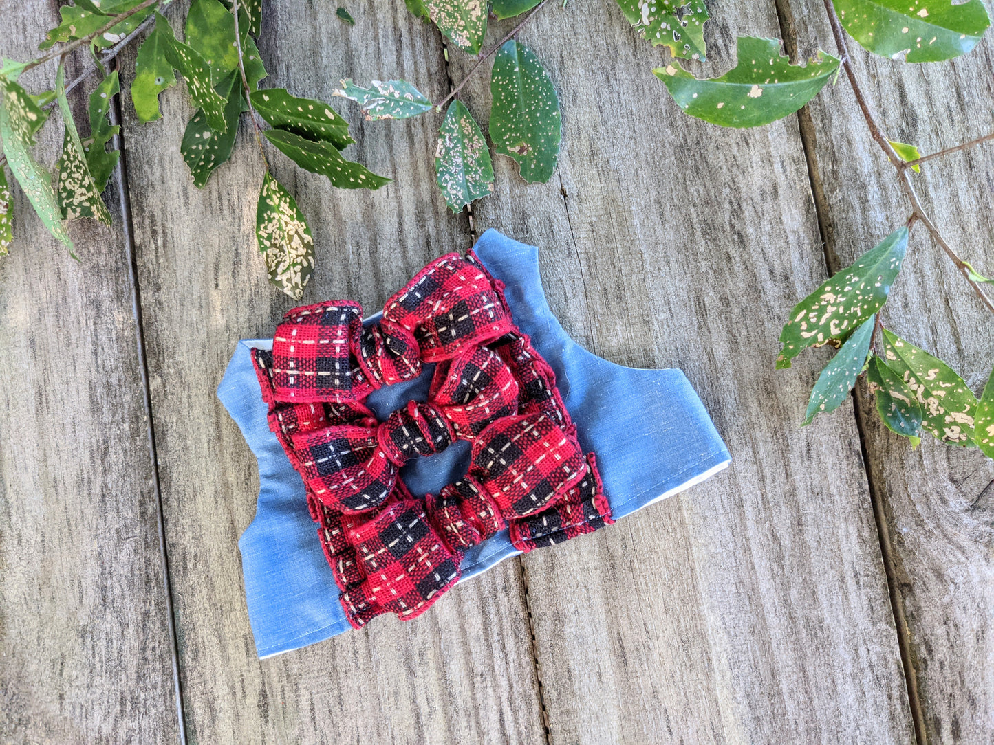 Triple Bow Fancy Cat Jacket
