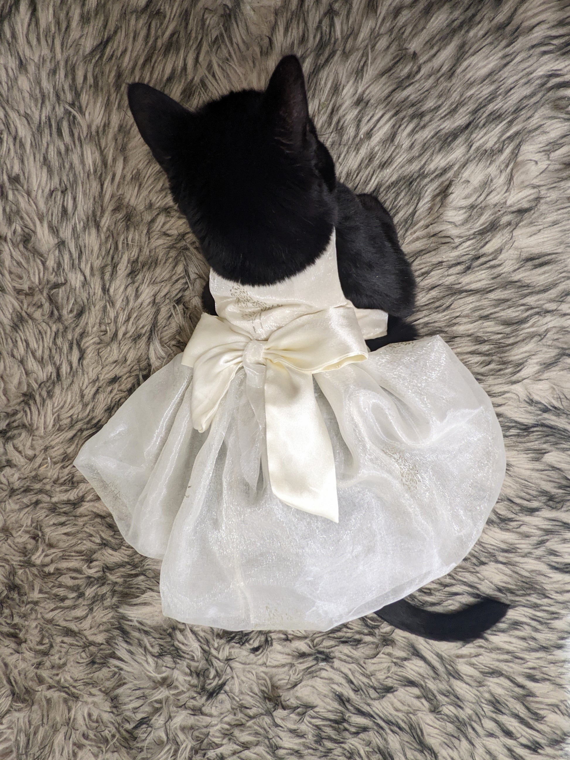 Cat ivory wedding dress for cat 