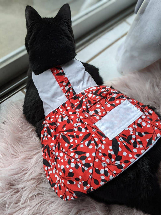 cat wearing modern cat dress for cat