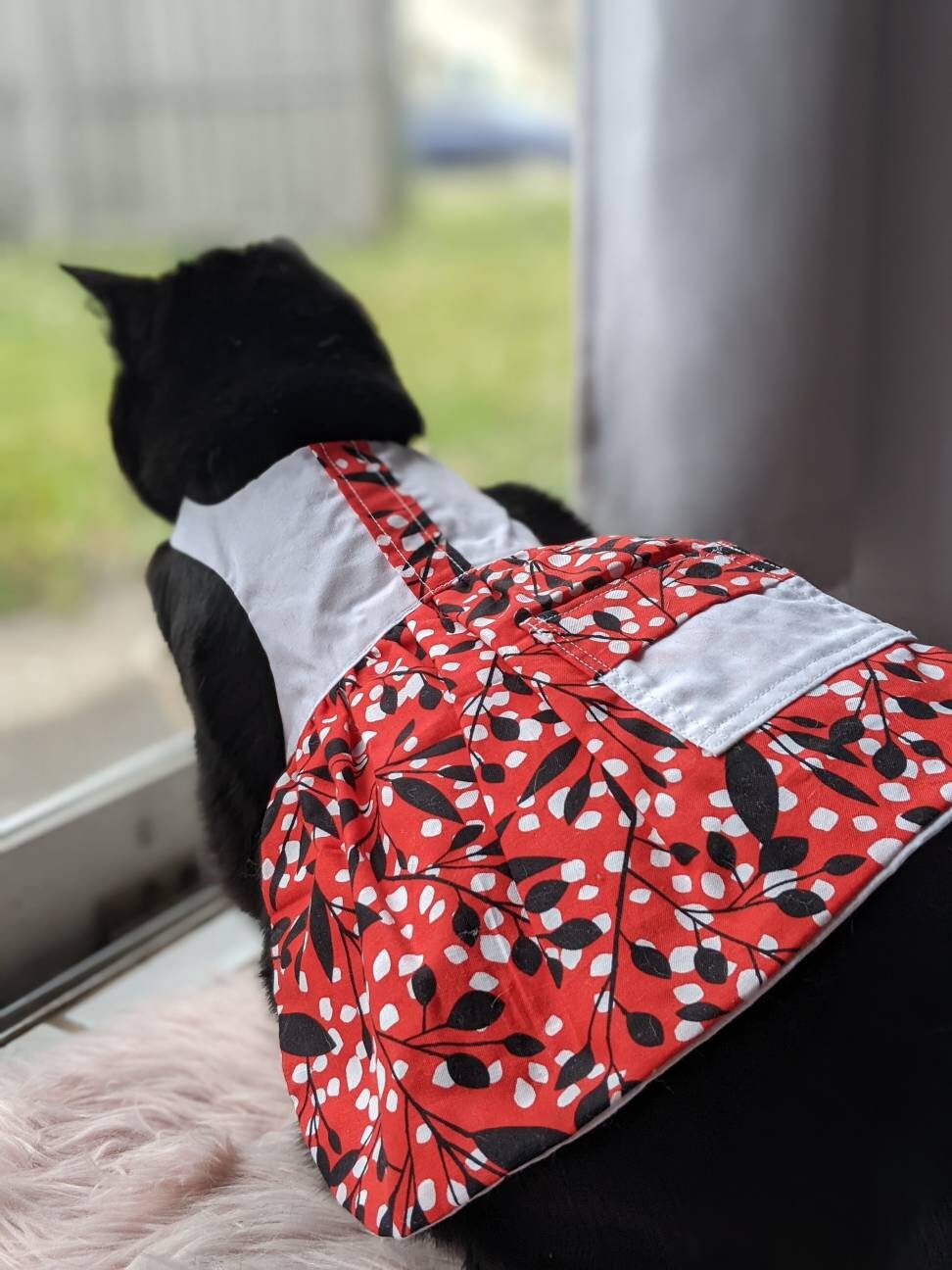 cat wearing modern cat dress for cat with pocket