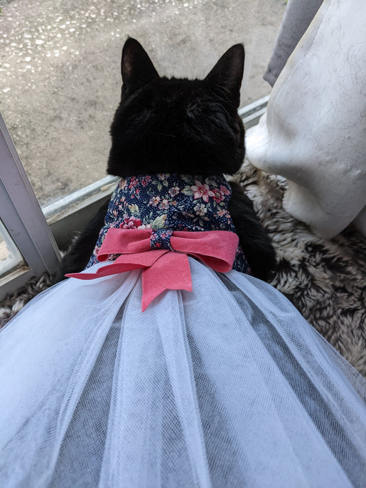 cat wearing princess cat dress for cat with flowers and bow