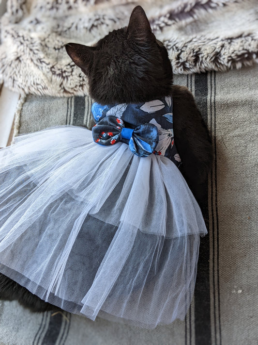 Blue Cat Dresses for Cat
