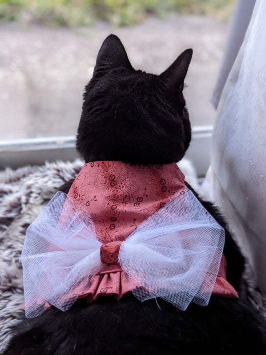 Pink Cat Jacket for Cat with Bow