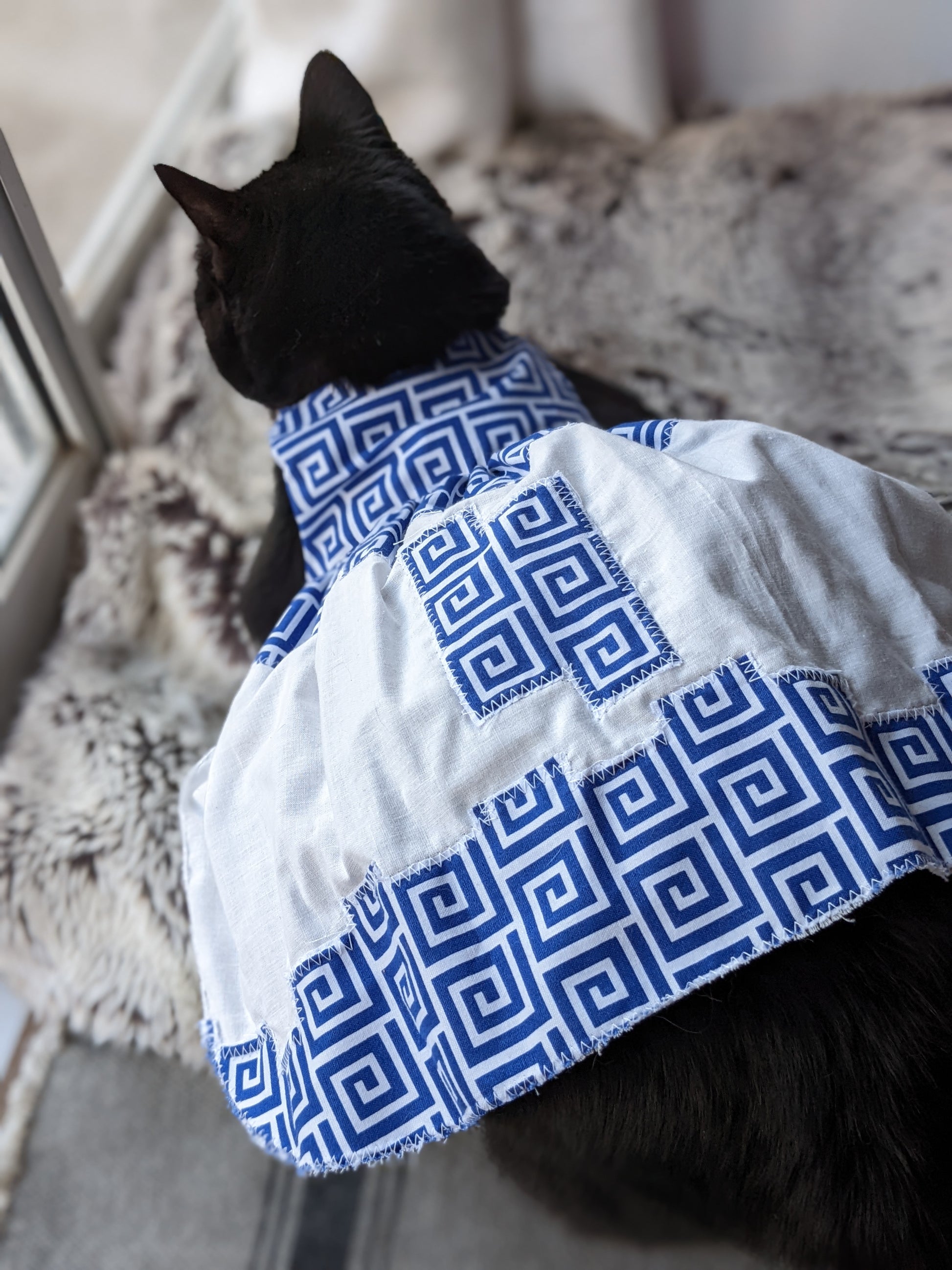 geometric cat dress for cat