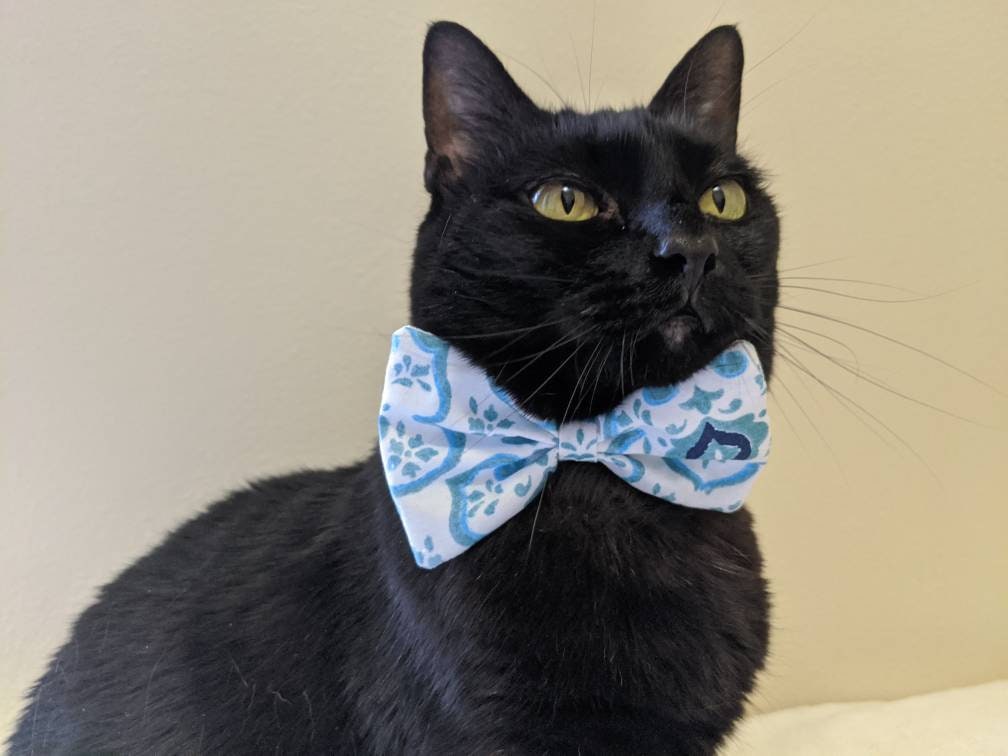 Adjustable Brown or Black Collar Accessory for Cat