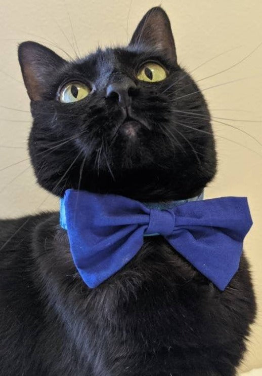 Colorful Cat Adjustable Bow Tie Collar