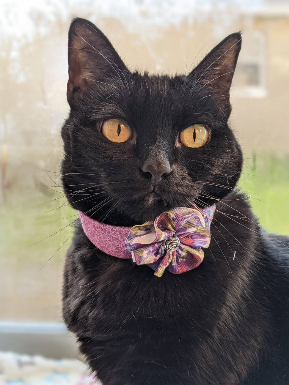 Unique Flower Adjustable Cat Collar