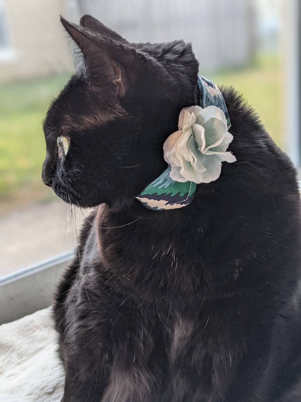 Unique Flower Adjustable Cat Collar