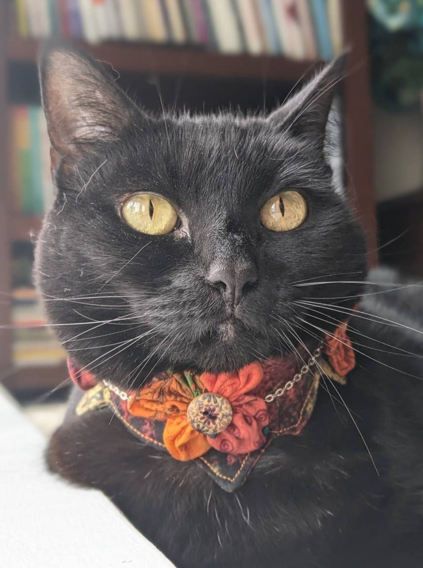 Adjustable Orange Collar Accessory for Cat