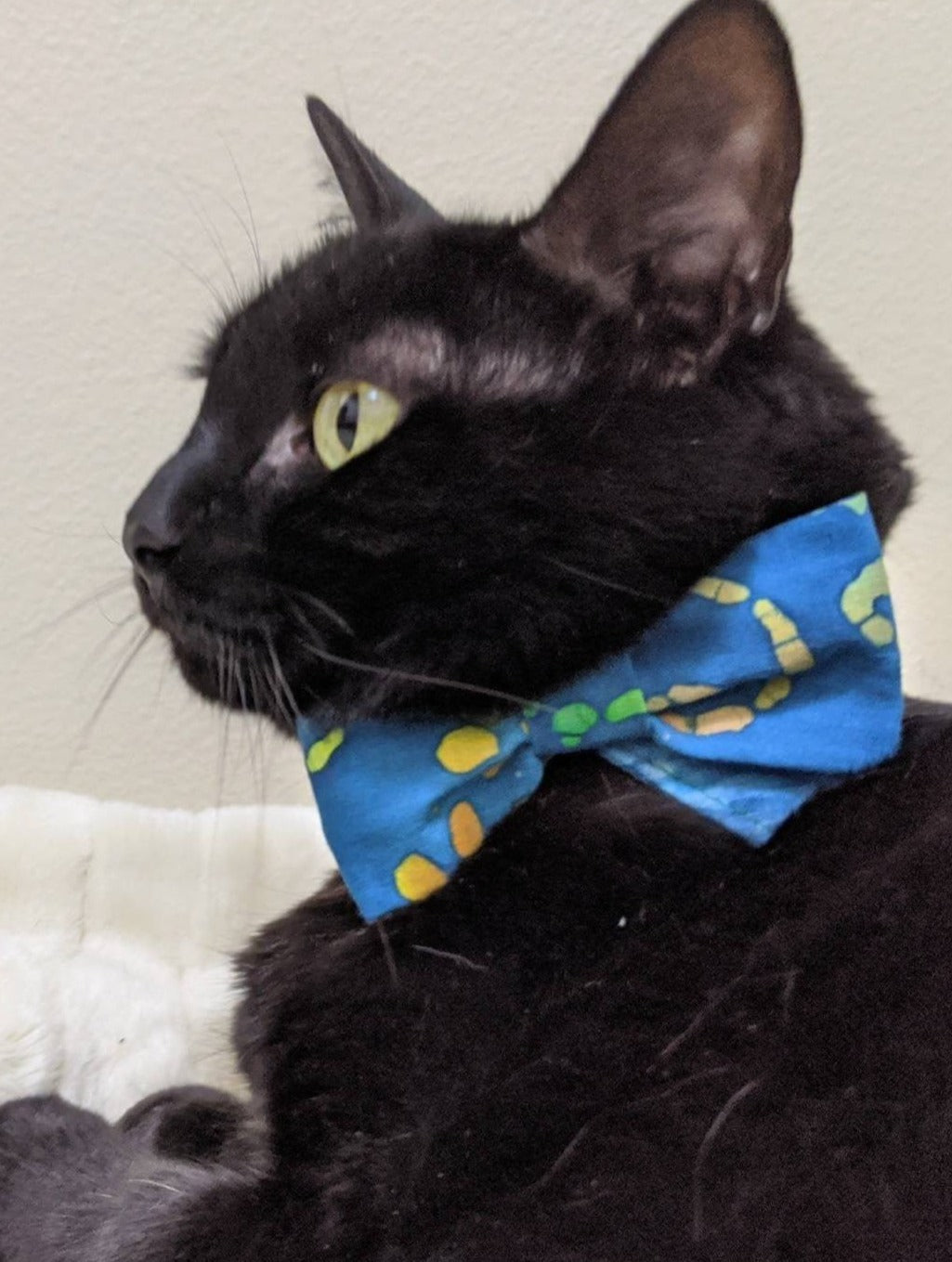 Colorful Cat Adjustable Bow Tie Collar
