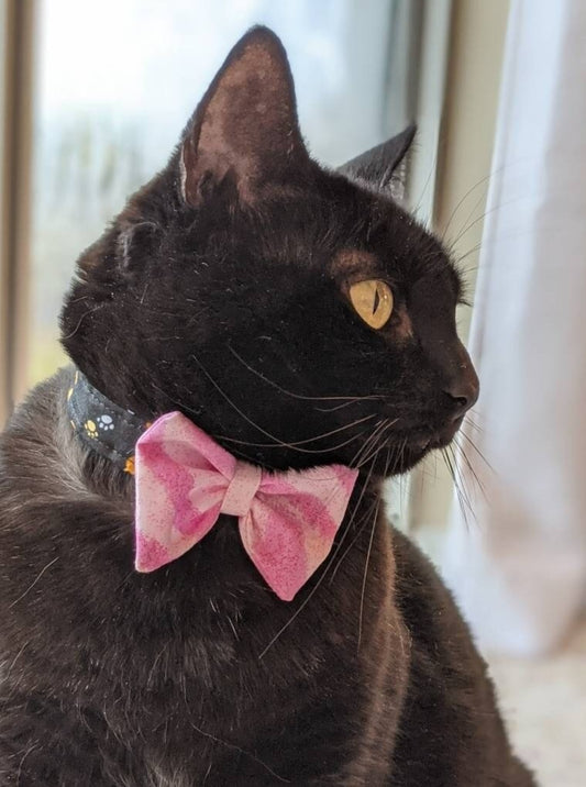 Adjustable Brown or Black Collar Accessory for Cat