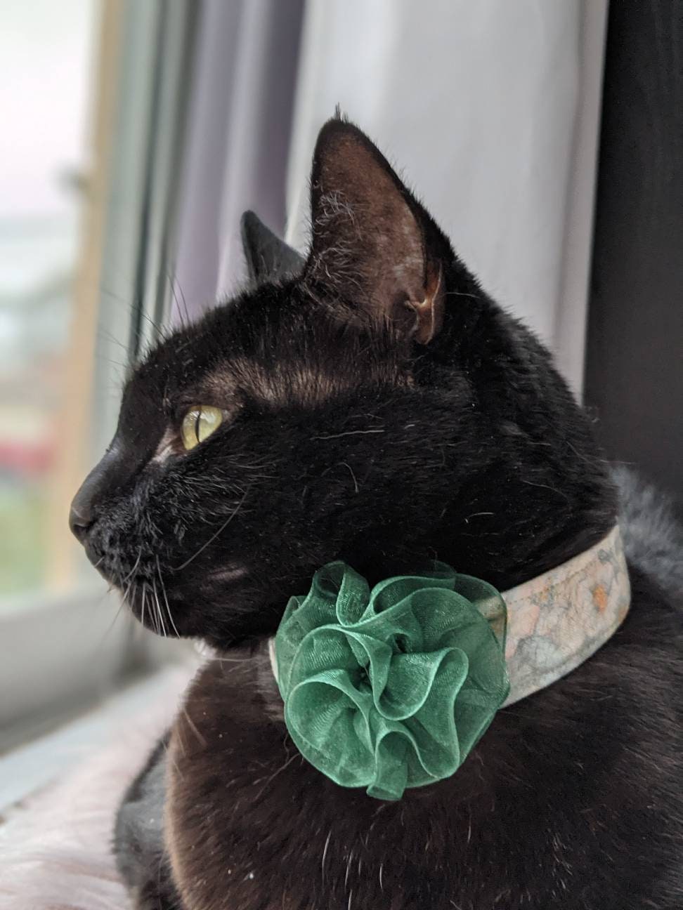 Unique Green Floral Cat Collar Accessory