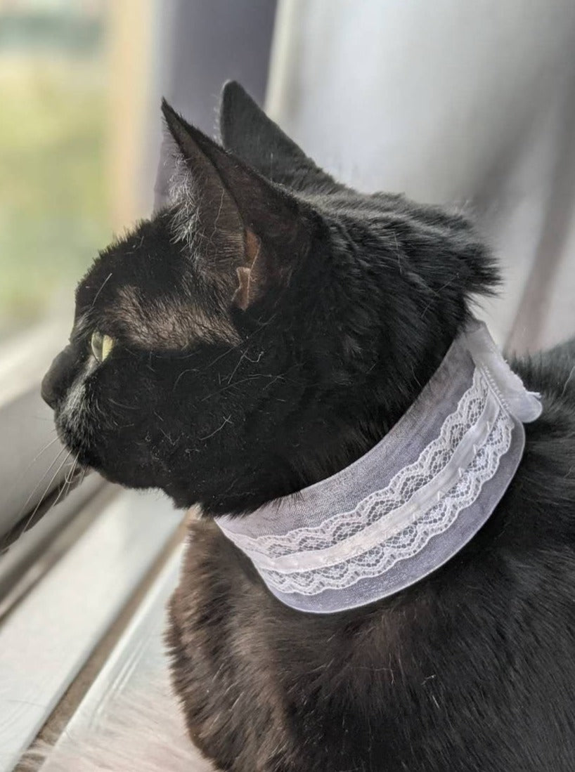 Adjustable Elegant Wedding Collar Accessory for Cats