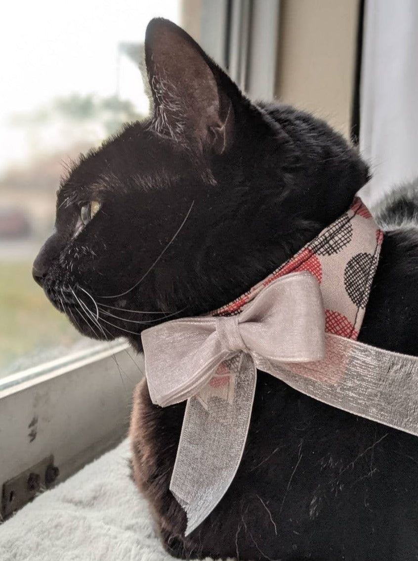 Unique Wedding Cat Neck Accessory