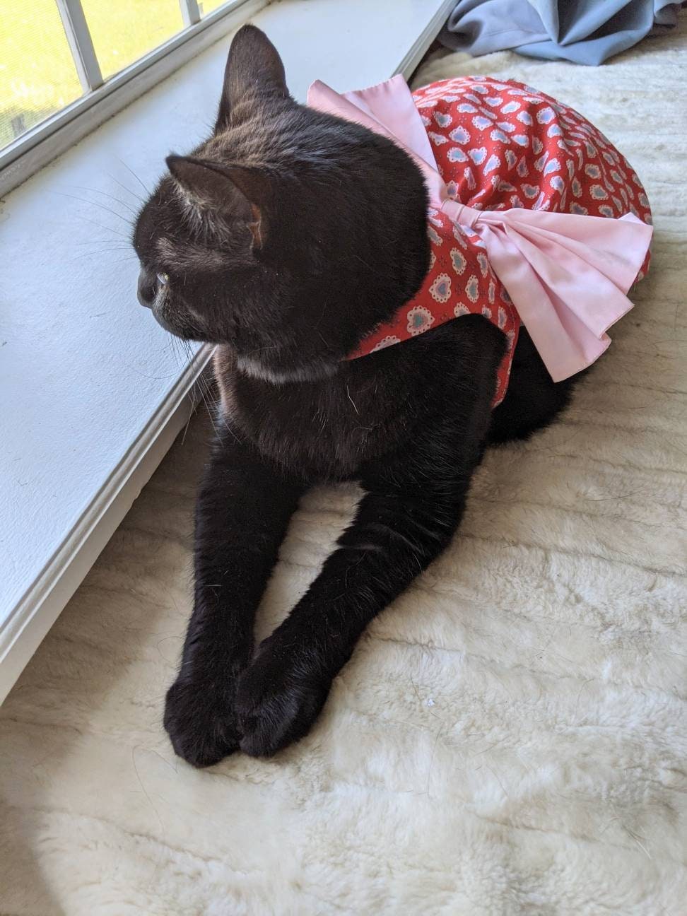 All the Hearts Cat Dress