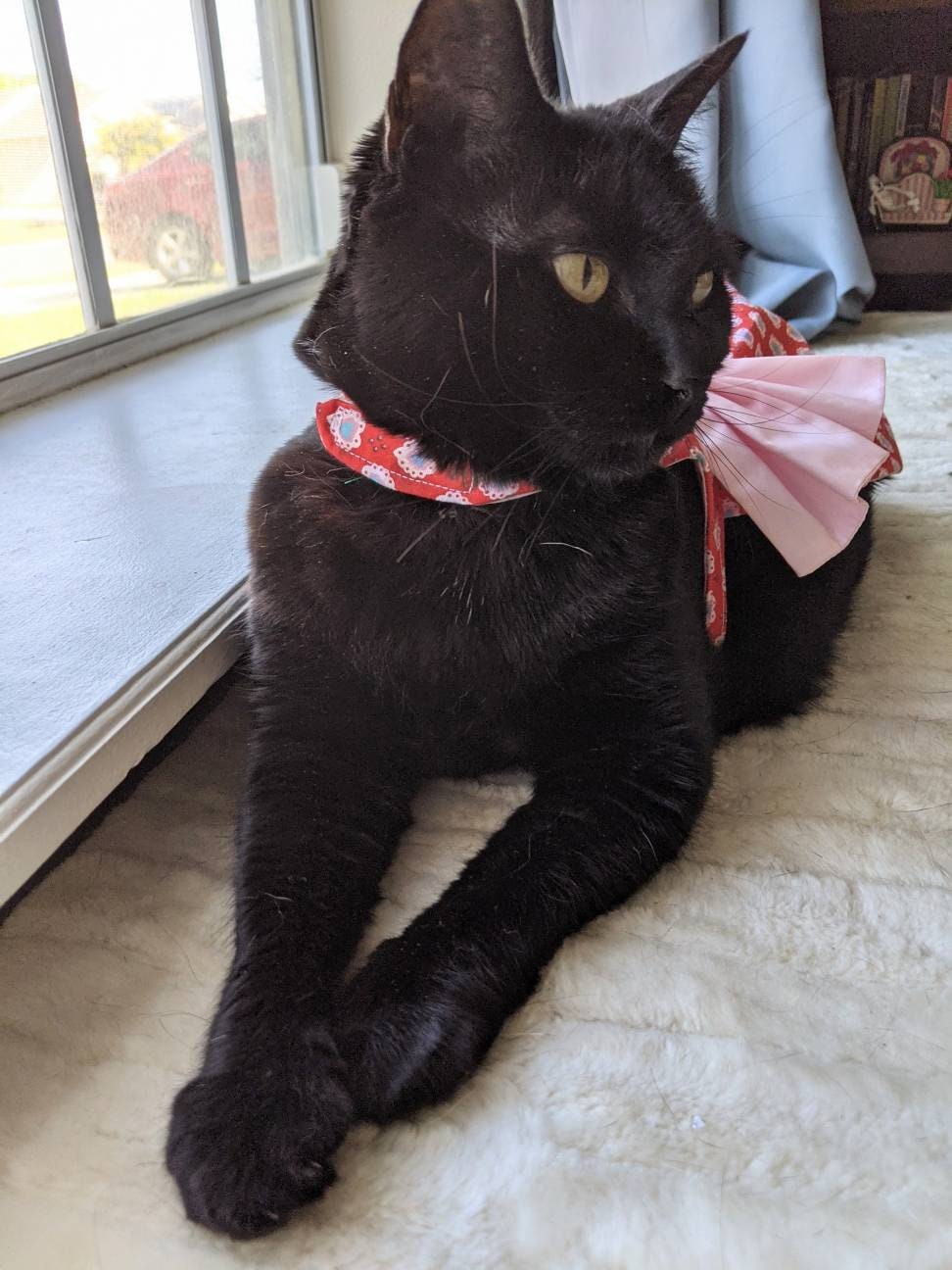 All the Hearts Cat Dress