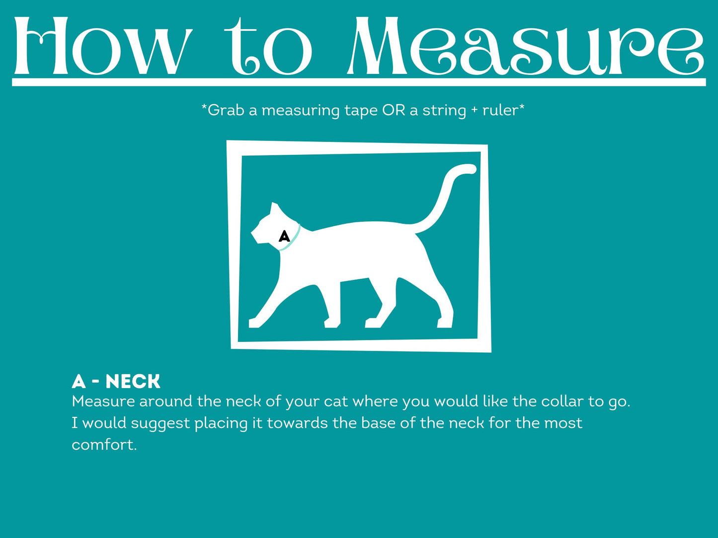 Adjustable Orange Collar Accessory for Cat
