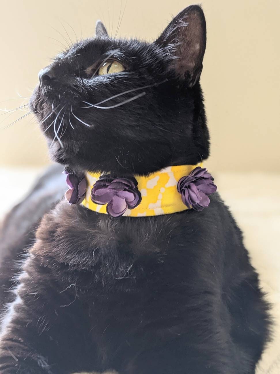 Wide Collar Adjustable Fabric Cat Accessory