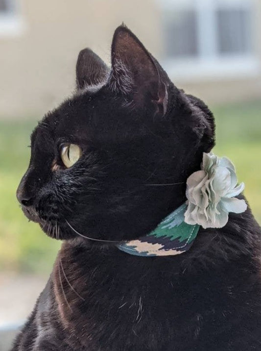 Adjustable Green Collar Accessory for Cat