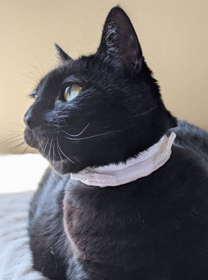 Adjustable Elegant Wedding Collar Accessory for Cats