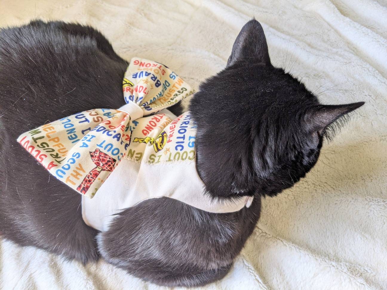 Scout Jacket for Cat