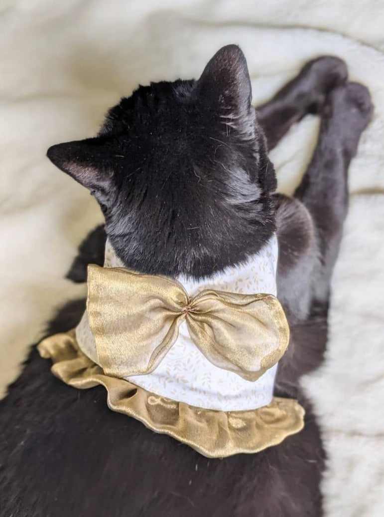 Girly Pastels Cat Jacket for Cat