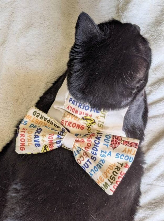 Scout Jacket for Cat
