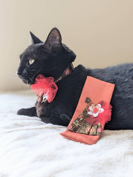 Cats and Fashion Cat Lover Gift Set