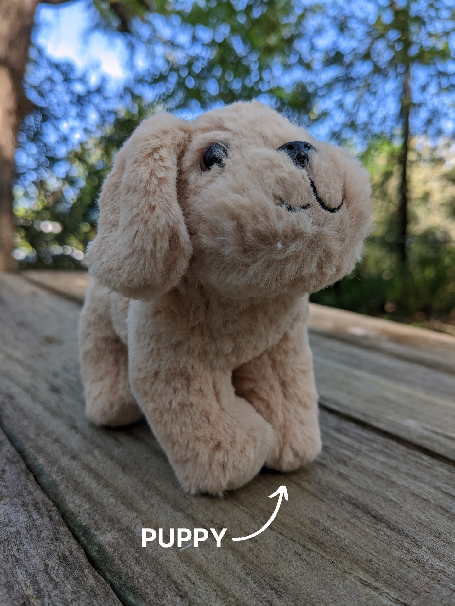 Cute and Ecofriendly Catnip Toy for Cat