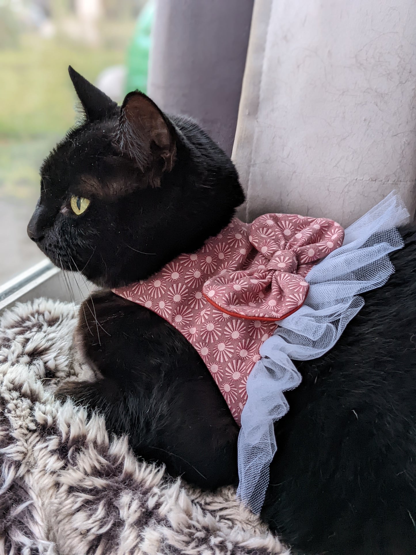 Pink Cat Jacket for Cat with Bow
